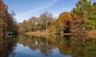 Забраниха посещенията на гористи местности край Истанбул