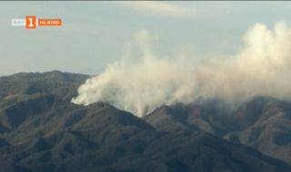 Щата Аризона: Стотица хора напуснаха домовете си заради пожари
