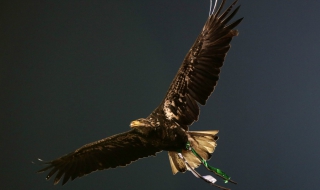 Лудогорец спечели Купата на България след взривоопасен мач