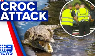 Соленоводен крокодил-канибал изяде 12-годишно момиче в Австралия ВИДЕО
