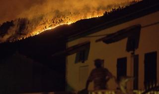 Няма данни за пострадали български граждани при горските пожари в Португалия