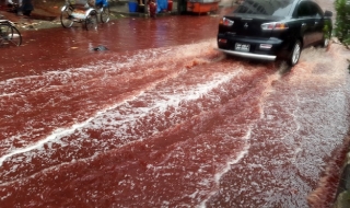Кървави реки заляха улиците на Дака (видео)