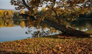 Слънчева събота