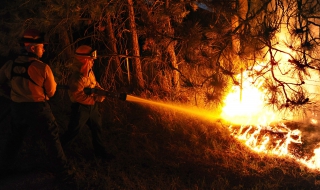 Поне 19 огнеборци загинаха при горски пожар в САЩ