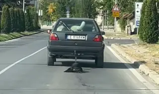 Задържаха мъж от Банско, влачил куче с колата си (ВИДЕО 18+)