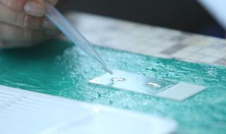 178 нови случая на коронавирус, почина един инфектиран