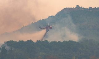 Гърция: Подобрява се ситуацията с пожара в националния парк Дадия 