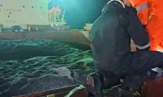 Опасни нива на пестициди в трети кораб със слънчоглед от Аржентина у нас