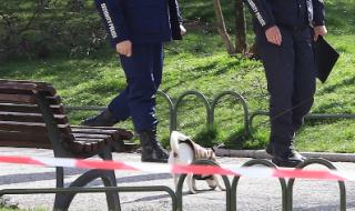 Младежи с кучета сътвориха див скандал в парк в Бургас