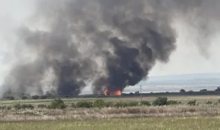 Пожар избухна край Бургас, силният вятър пречи на гасенето 