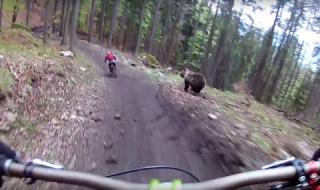 Мечка нападна даунхилъри в Словакия