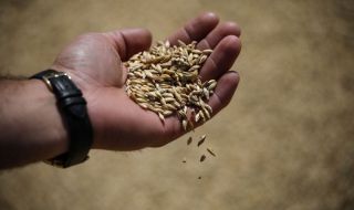 ЕК ще продължи подкрепата за земеделците, засегнати от вноса от Украйна