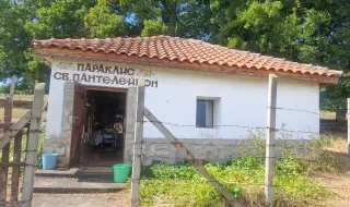 Под сянката на вековните дървета: десетки вярващи се събраха в параклиса Св. Пантелеймон край Езерово