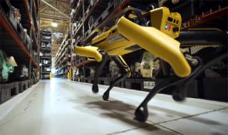 Кучета-роботи тичат из завод на Ford (ВИДЕО)