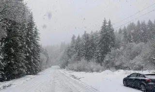 Обилен снеговалеж на Петрохан