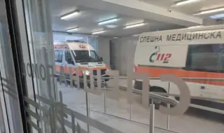 Стабилно е състоянието на детето, жестоко нахапано от домашно куче в с. Кънчево