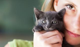 Всеки се нуждае от поне минута нежност