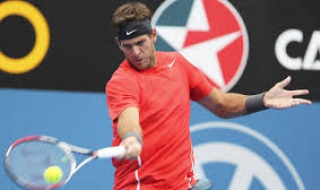 Дел Потро няма да се отказва от тениса