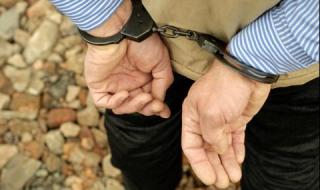 Хванаха българин с три заповеди за арест в Гърция, продавал бебета