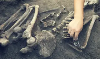 Кости, открити в пещера в Германия, пренаписват ранната история на Хомо сапиенса