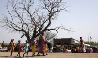 Над 81 хиляди души са избягали в Египет от Судан