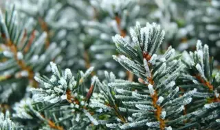 Времето днес, прогноза за четвъртък, 15 януари: Предимно слънчево, заоблачаване от североизток