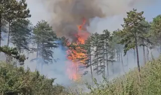 Bulgaria is still burning today 