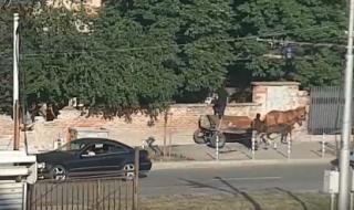 Цигански набези и полицейско безхаберие в центъра на София (ВИДЕО)