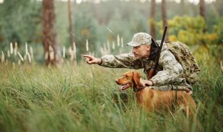 Как се става ловец в Германия: цени, правила и изисквания
