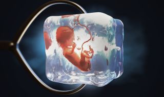 Революционно постижение: Създадоха синтетични човешки ембриони от стволови клетки
