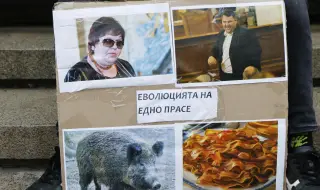 България, където антикорупцията обслужва корупцията