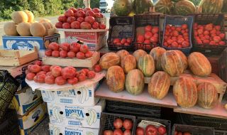 В Нигерия ще се отглеждат отново български домати