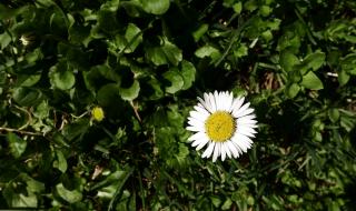 Валежите спират, топлото време се връща