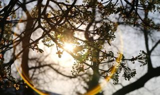 Времето днес, прогноза за вторник, 23 май: Предимно слънчево, условия за следобеден дъжд