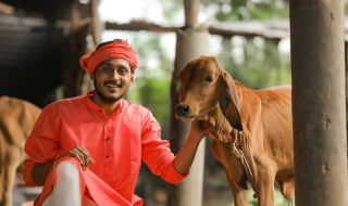 Индия се отказа от прегръщането на крави на Свети Валентин