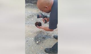 Пожарникари спасиха пострадал таралеж (ВИДЕО)