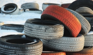 Студ. Дърво и камък се пукат, а асфалтът цъфти