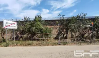 Паразит в питейната вода на лясковско село