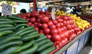 Започват масови проверки на вноса на плодове и зеленчуци