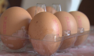 Опасните яйца са изтеглени от търговската мрежа