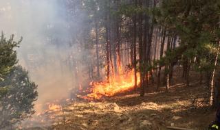 Арестуваха 75-годишен мъж, запалил гора