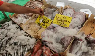 Турция се настани на китайския пазар на морски продукти и бадеми