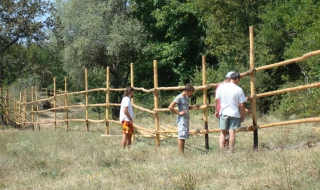 Изгубени в кризата