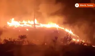 Огромни горски пожари обхванаха Турция, евакуирани са над 3600 души ВИДЕО