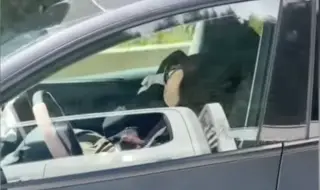 Шофьор на Tesla спи зад волана със скорост от 100км/ч… и две деца на задната седалка (ВИДЕО)