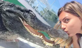 Смела ученичка влезе в битка с алигатор, замъкнал я под водата