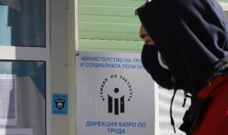 Над 300 хиляди са новорегистрираните безработни 