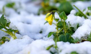 Прогноза за времето в неделя, 12 февруари: Облачно, слаб сняг в планините