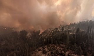 Поне седем са жертвите на опустошителните горски пожари в Сибир
