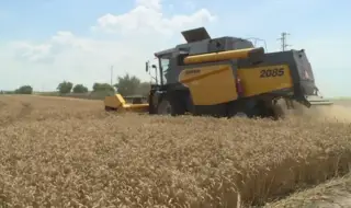Зърнопроизводителите  искат среща с властта